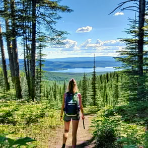The View from Here:  A Mid-Year Business Review Inspired by the Trails of Algonquin.